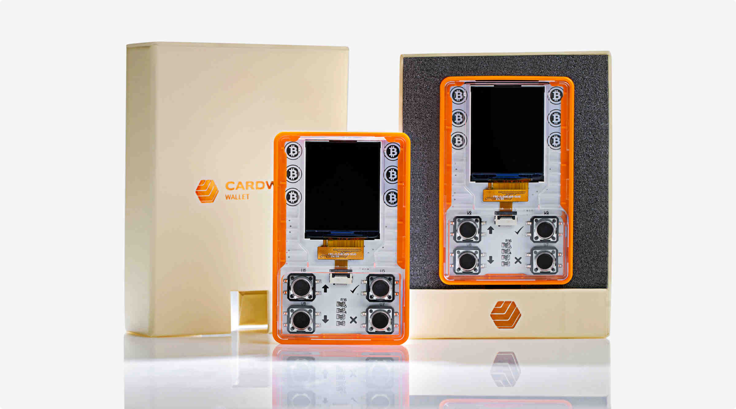 Cardware Wallet Blog: Insights on Secure Bitcoin & Multi-Chain Hardware  Wallets